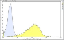 BCAM (CD239) Mouse anti-Human, Clone: F241, MilliporeSigma:Antibodies:Primary